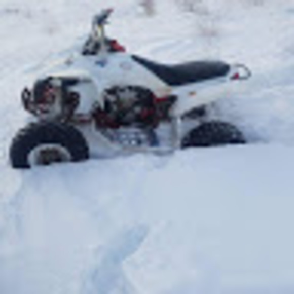 Meet your Posher, Braaap - Picture 1 of 1